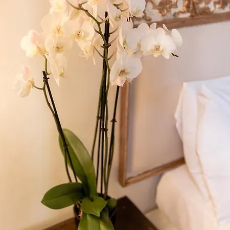 Apartamento Art Florença
